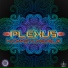 PLEXUS