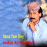 Imdad Ali Shabrani