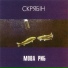 Скрябін