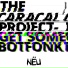 The Caracal Project