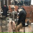 Pelican Company