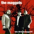 Maggots