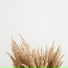 Relaxation, The Sleep Helpers, Spa Zen