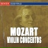 Michael Gantvarg (violin and conductor)