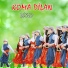 Koma Dilan
