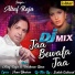 Altaf Raja