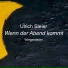 Ulrich Steier