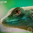 KTANA