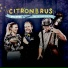 Citronbrus