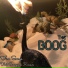 The Boog