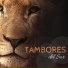Trance Chaman