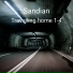 Sandian