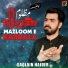 Saqlain Haider