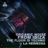 Organic Noise From Ibiza