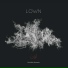 LOWN