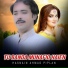 Hasnain Ahmad Piplan