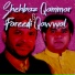 Shehbaz Qamar Fareedi