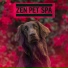 Pet Care Music Therapy
