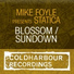 Mike Foyle, Statica