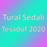 Aynur Sevimli