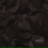 The Black Nothing