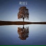 Morose