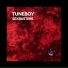 07 tuneboy (technoboy remix