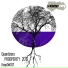 Quantizers