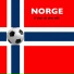 Vegar Hoholm