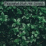 Nature Sounds