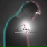 Yaser Binam