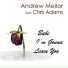 Andrew Mellor feat. Chris Adams feat. Chris Adams