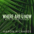 Aaron Richards feat. Ocean Avenue