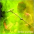 Keko Yunge
