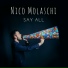 Nico Molaschi