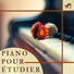 Collégien Lecteur Étudiant Dodo