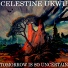 Celestine Ukwu