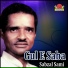 Sabzal Sami