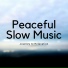 Flow Zen Silent