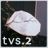 Trance Vision Steppers