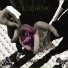 Lil Schenk