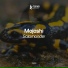 Mojashi