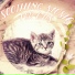 Cats Music Zone