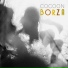 borza