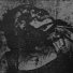 Mutilated Tongue
