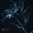 Ekali, Zhu