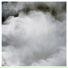 Swarm Intelligence
