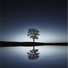 Classical Study Music, Reiki, Study Concentration