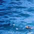 Challenging Seas