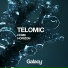 Telomic